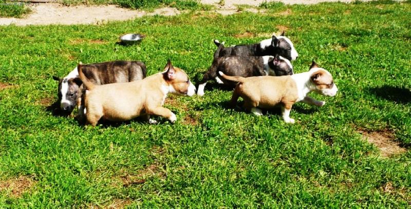 Foto: Bul��� miminka