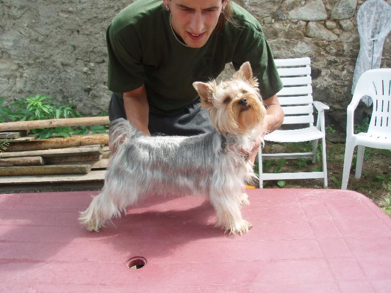 Foto: P��prava na v�stavu