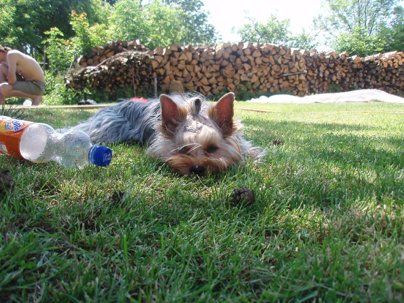 Foto: Neli-Odpo�inek na zahrad�