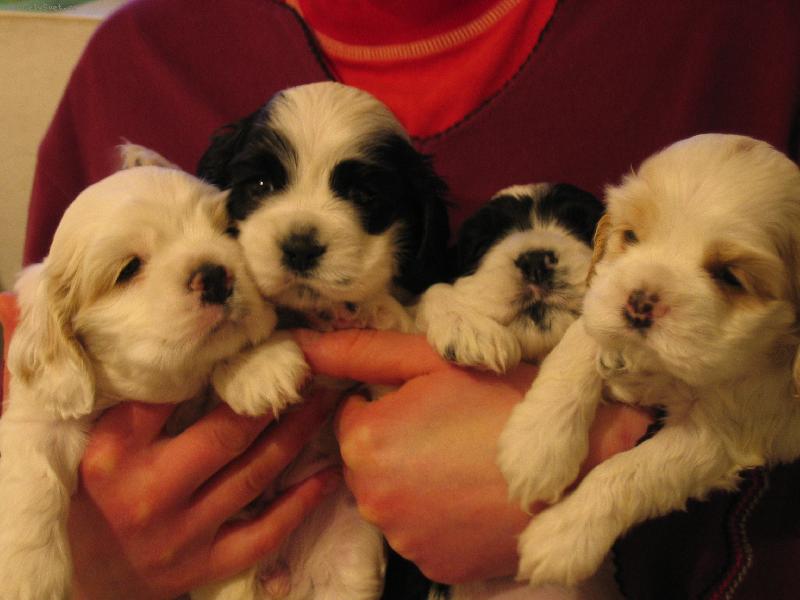 Foto: rodinka-no ale je n�s,co?