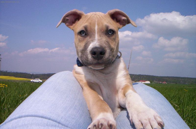 Foto: n� mazl��ek