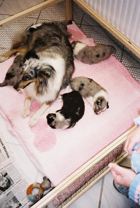 Foto: X-Lady Moravsk� srdce se �t���tky