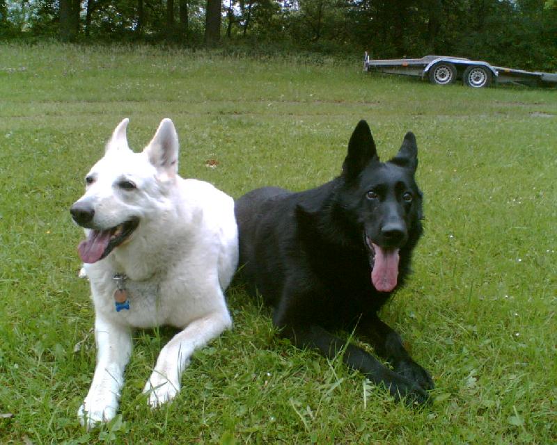 Foto: black and white