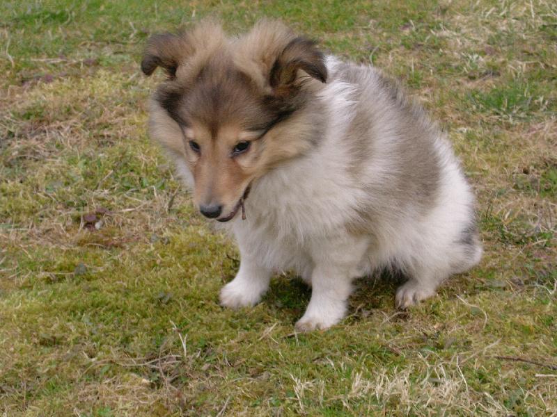 Foto: Mia-Str��ek Fido