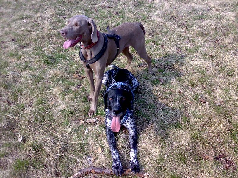 Foto: Dyk�nek s Vegu�kou