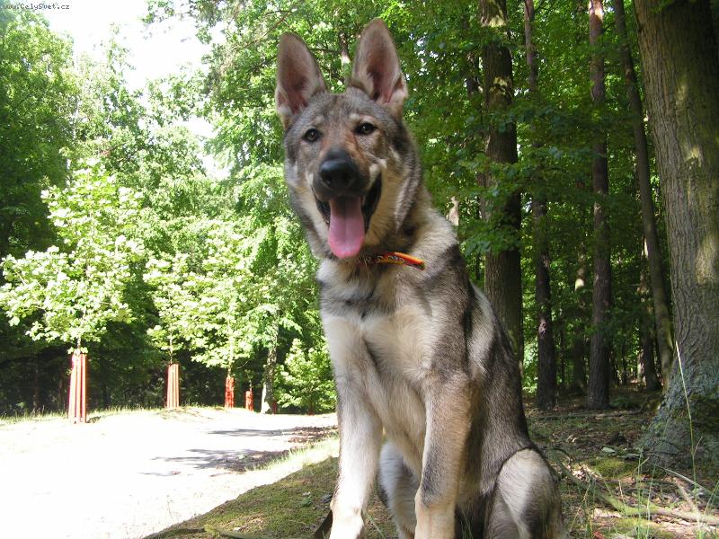 Foto: Annie z Holštejna Foto: Annie z Holštejna