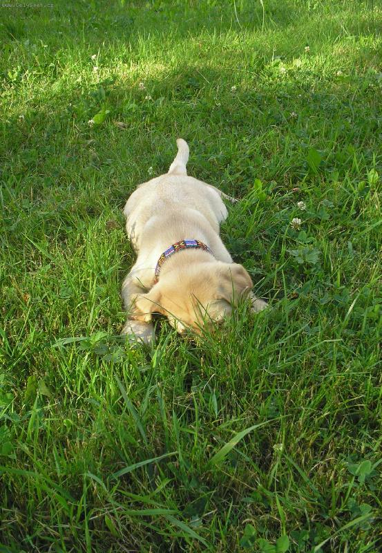 Foto: Na�la jsem poklad-...