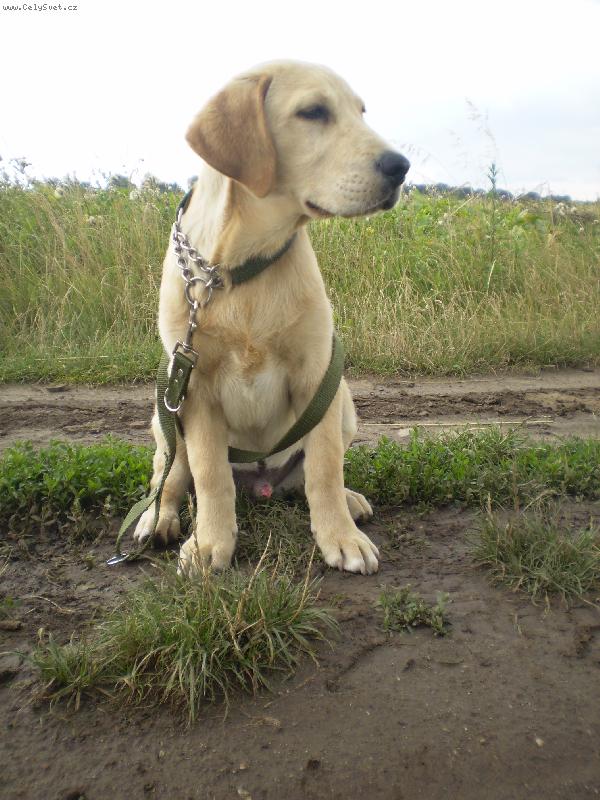 Foto: Artur-M�j nejmilovan�j�� Arturek!!!