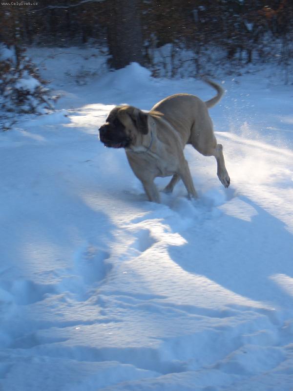 Foto: ��d�n� ve sn�hu