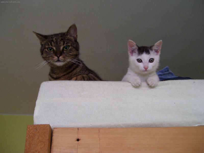 Foto: tak u� poj� sp�t!