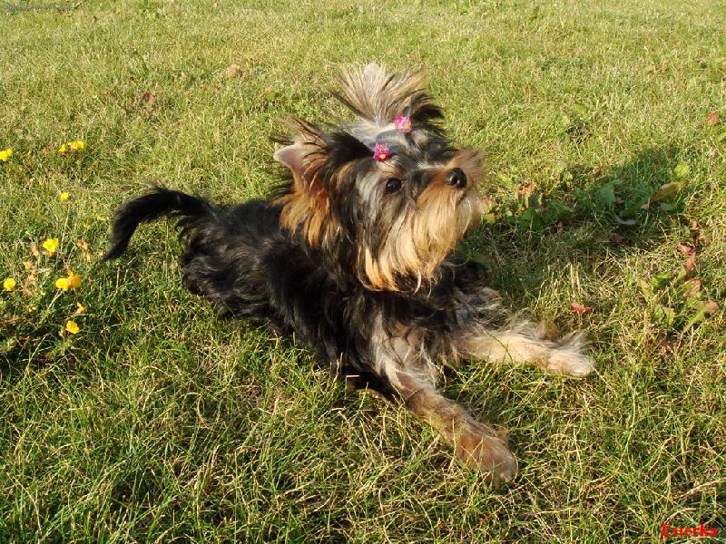 Foto: Esterka-na�e mal� princezna