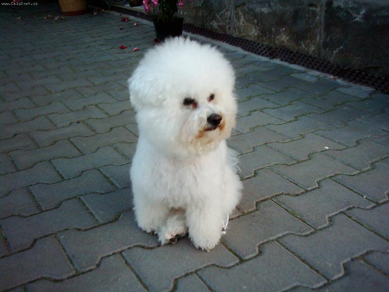 Foto: u� m� bol� no�i�ky-ha��m...