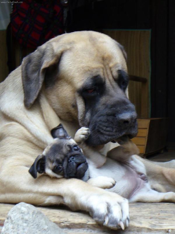 Foto: v bezpe�n� n�ru�i