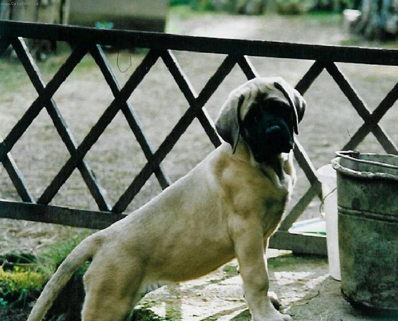 Foto: z�ti�� s kbel�kem