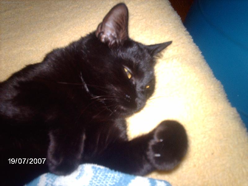 Foto: Ginu�ka-Mazlinka