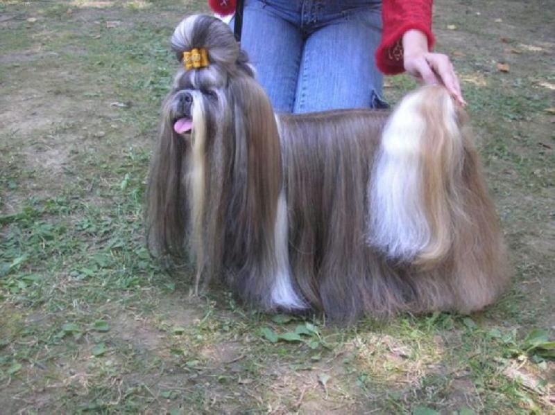 Foto: CH.Jeron Atrei