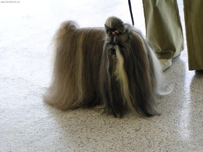 Foto: CH.Jeron Atrei