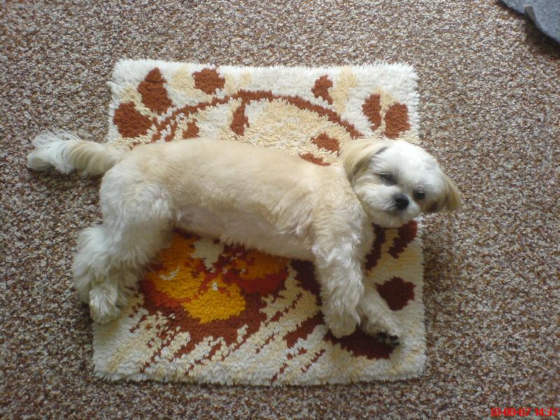 Foto: na�e sle�na