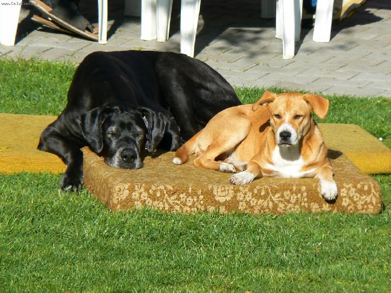 Foto: .........-...........