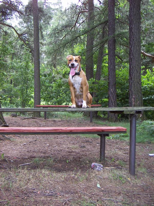 Foto: V�letn� den