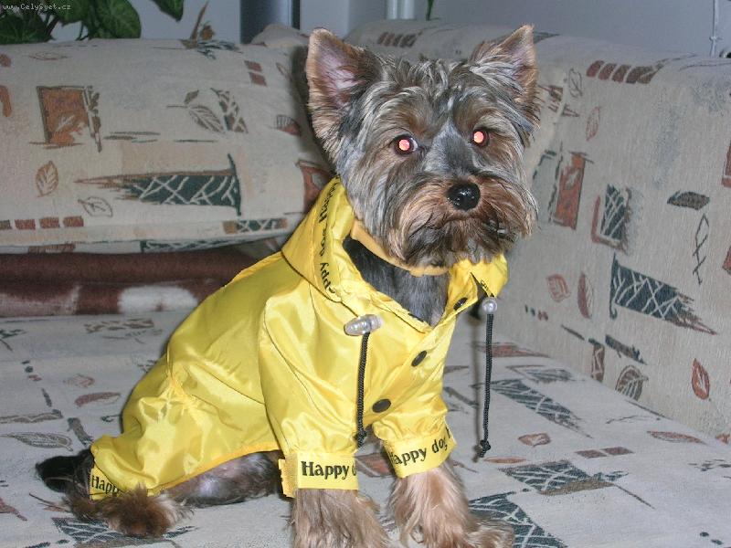 Foto: Max-V�dy p�ipraven