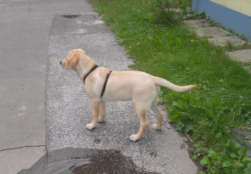 Foto: Brita-15-T�dn�