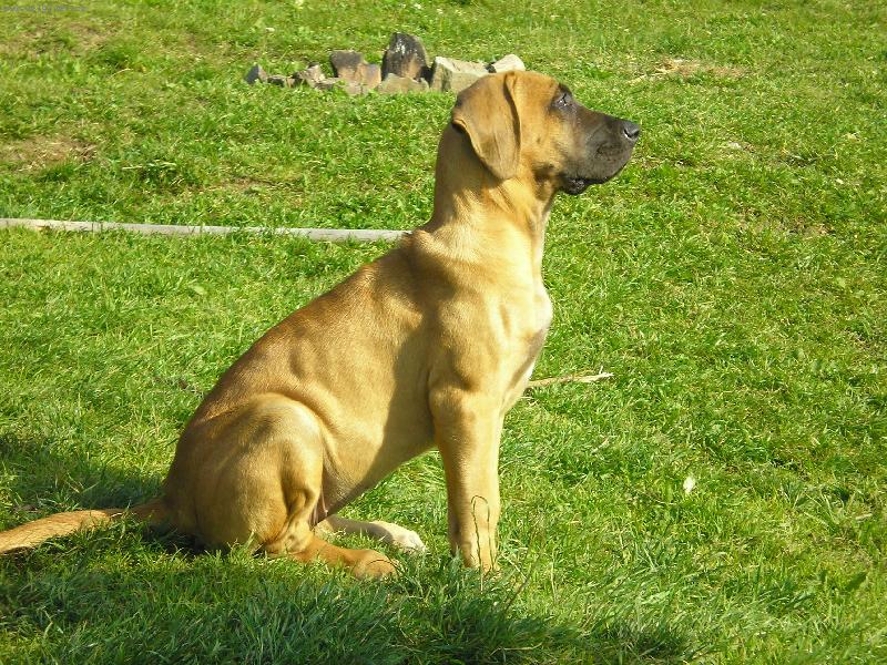 Foto: Baira Taik�-jsou mi 3 m�s�ce