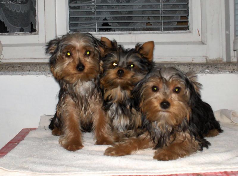 Foto: na�i mil��ci