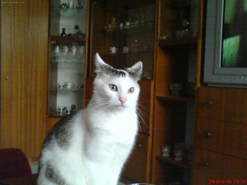 Foto: denisek-mensi sibal