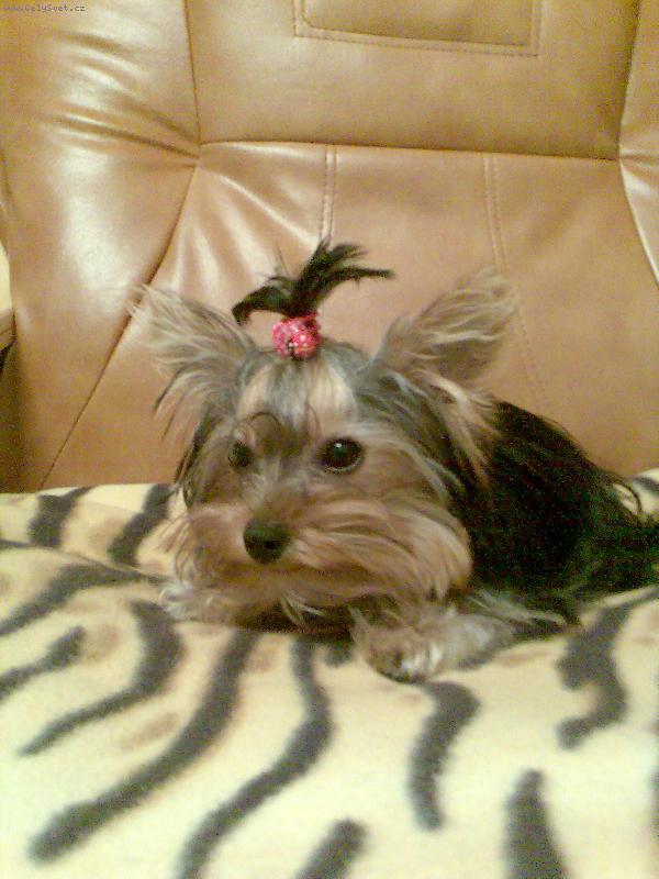 Foto: jessinka-Jessinka