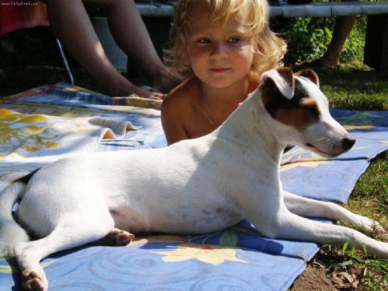 Foto: Leno�en� u vody