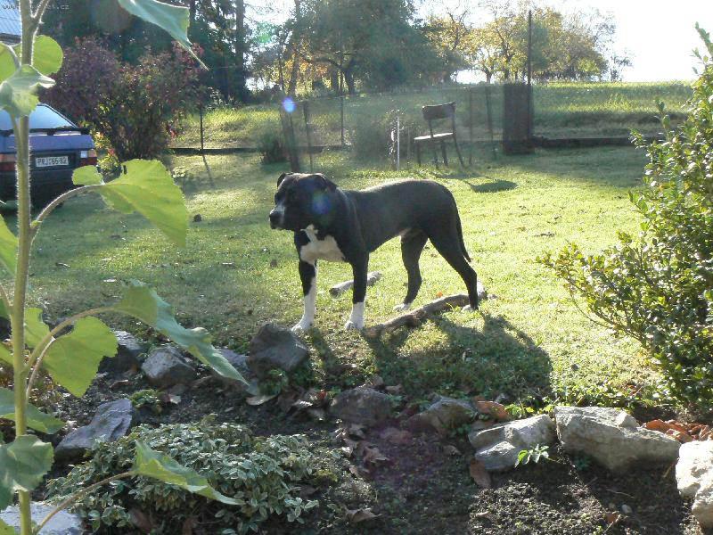 Foto: Na chat�-Arny 1 rok