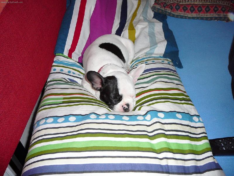 Foto: Lilith - v�t�� mimi-3... 2... 1... SPINK�ME!!!