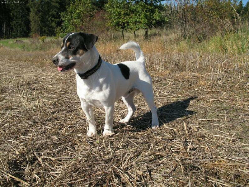 Foto: Podzimn� p�za