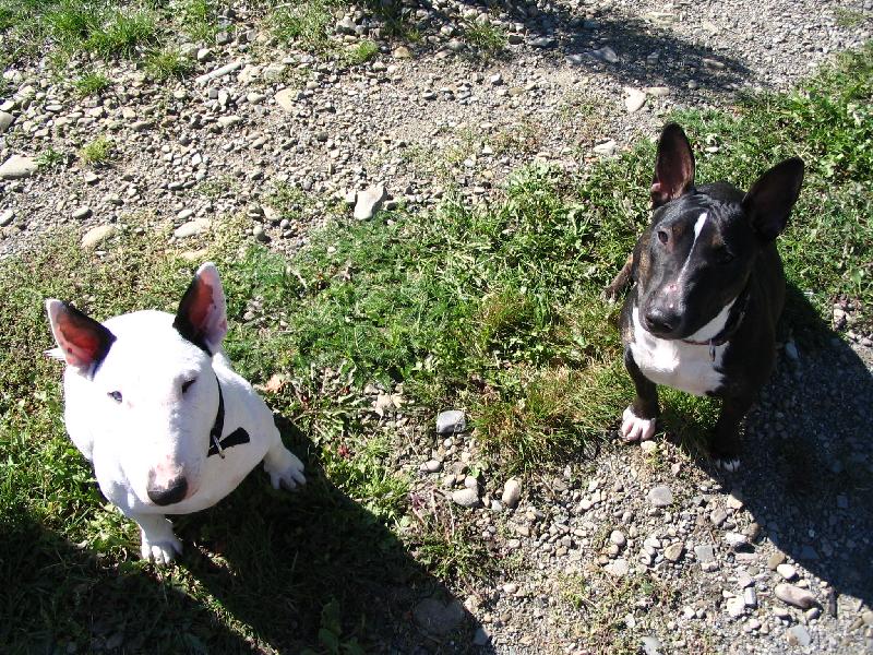 Foto: spolu-�ja a Funny - �ek�n� na pamlsek