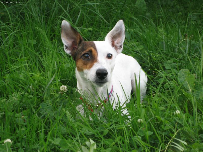 Foto: Ebby-Sk��tek