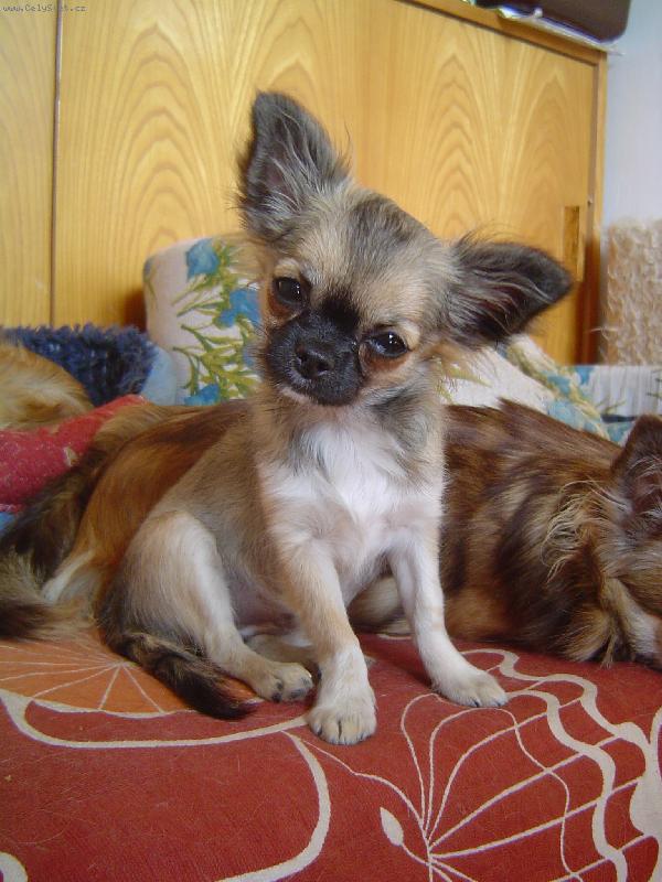 Foto: �arinka-ahoj