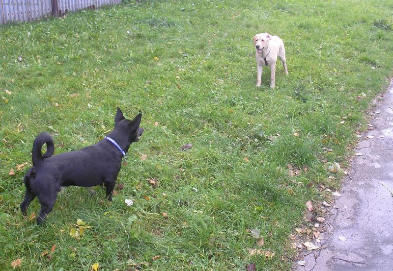 Foto: J�� ��h�m