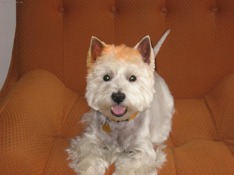 Foto: Benny od kade�nice-Benny od kade�nice