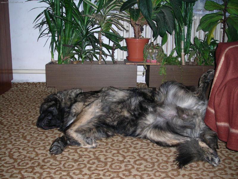 Foto: Pokojov� pohodi�ka-Ba�a �ekim p�i odpo�inku