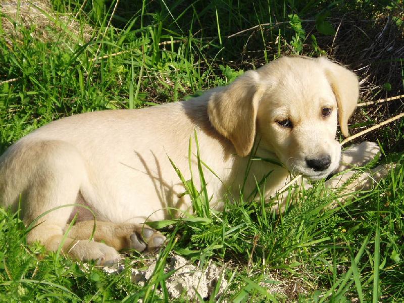 Foto: Nelly - �t�n�