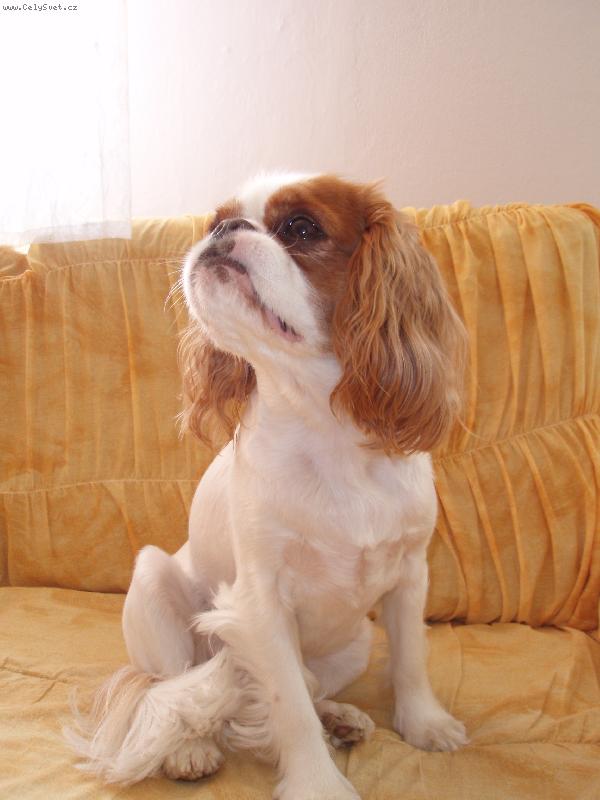 Foto: Jessie-Copak to tam asi je?