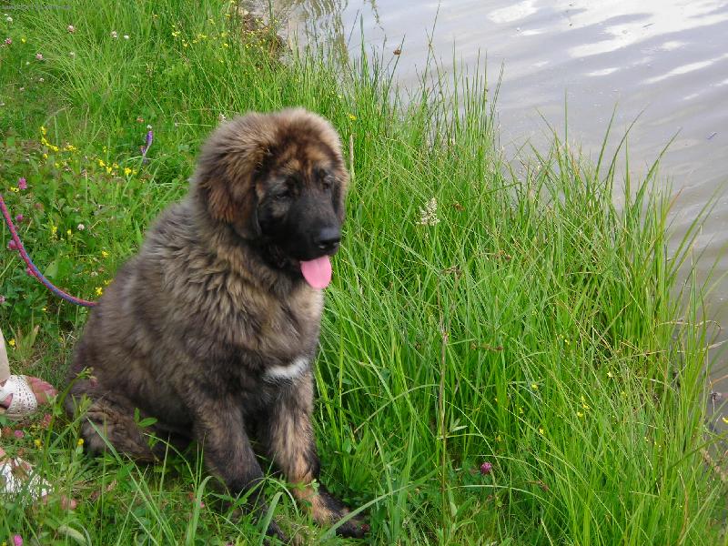 Foto: V p�ti m�s�c�ch u rybn�ka-Ba�a �ekim p�i seznamov�n� s vodou