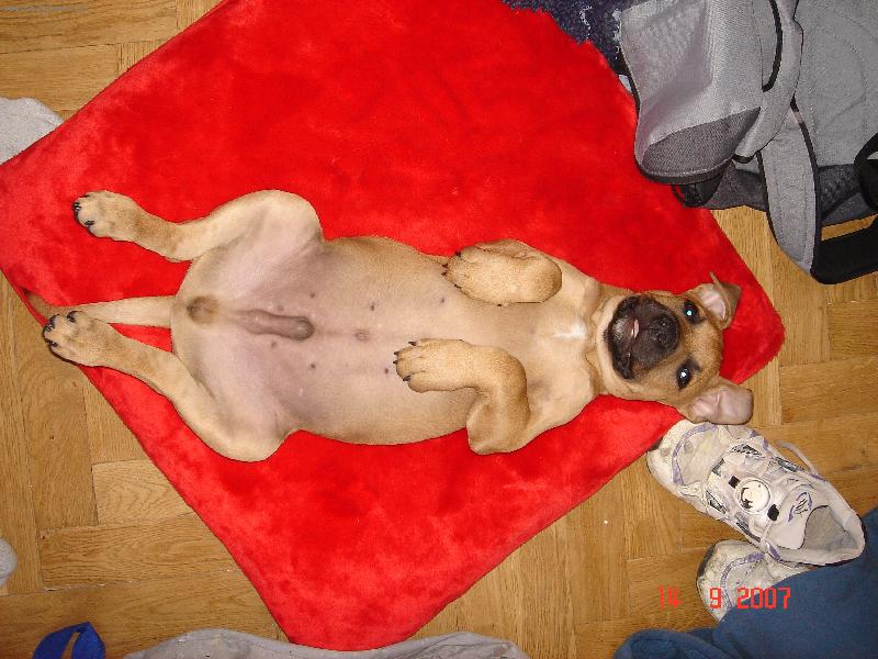 Foto: Pr�ek-tro�ku jsem se p�e�ral...