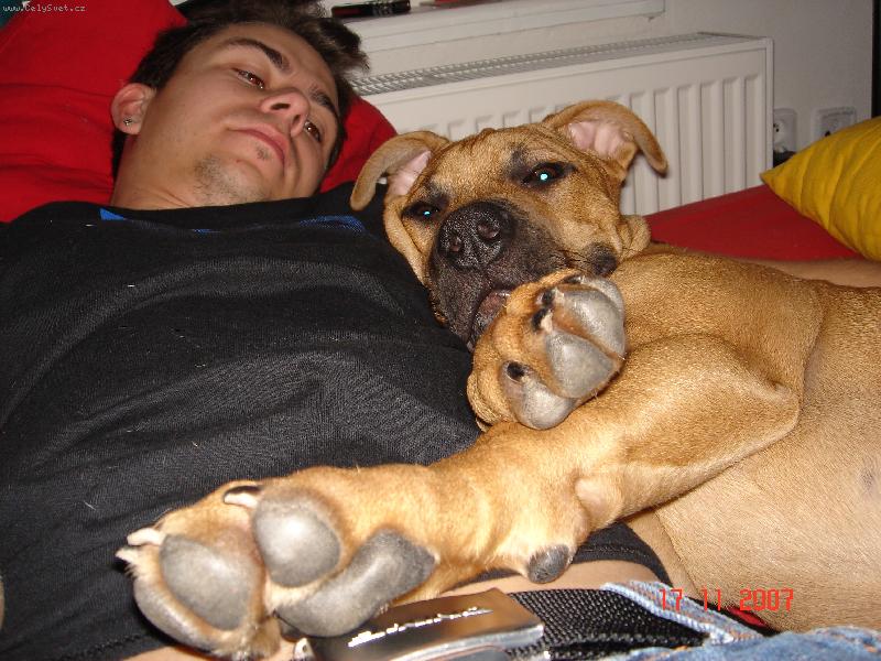 Foto: Pr�ek-dobrou...