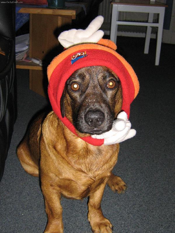 Foto: Jsem fe��k ze Slivence!!!