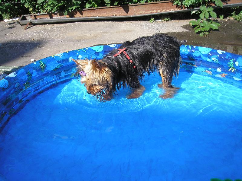 Foto: Nikolka-tak se �abr�m v baz�nku