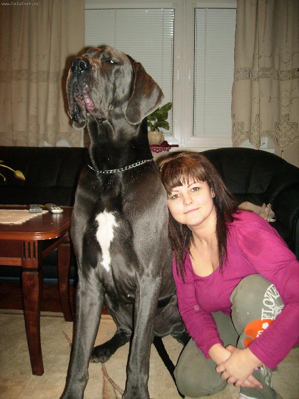 Foto: arthur apollon adonis-drob�ek...