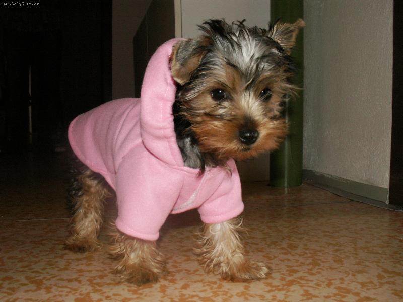 Foto: Jessy z Jablonce