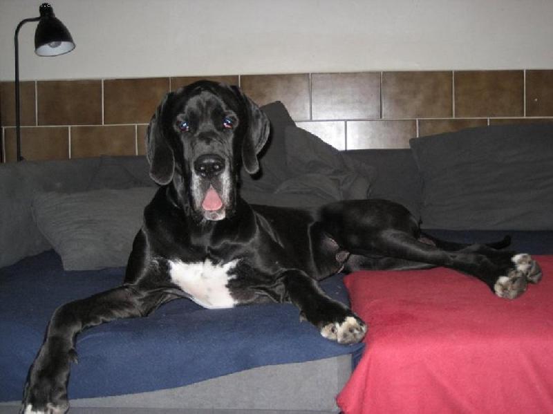 Foto: Arthur - Barneby od �ternbersk�ho hradu